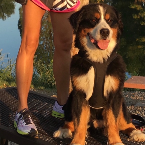 Meet your Posher, Laura Ann - Picture 5 of 13